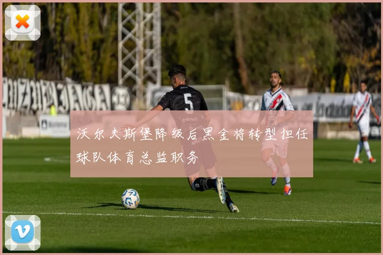 沃尔夫斯堡降级后黑金将转型担任球队体育总监职务